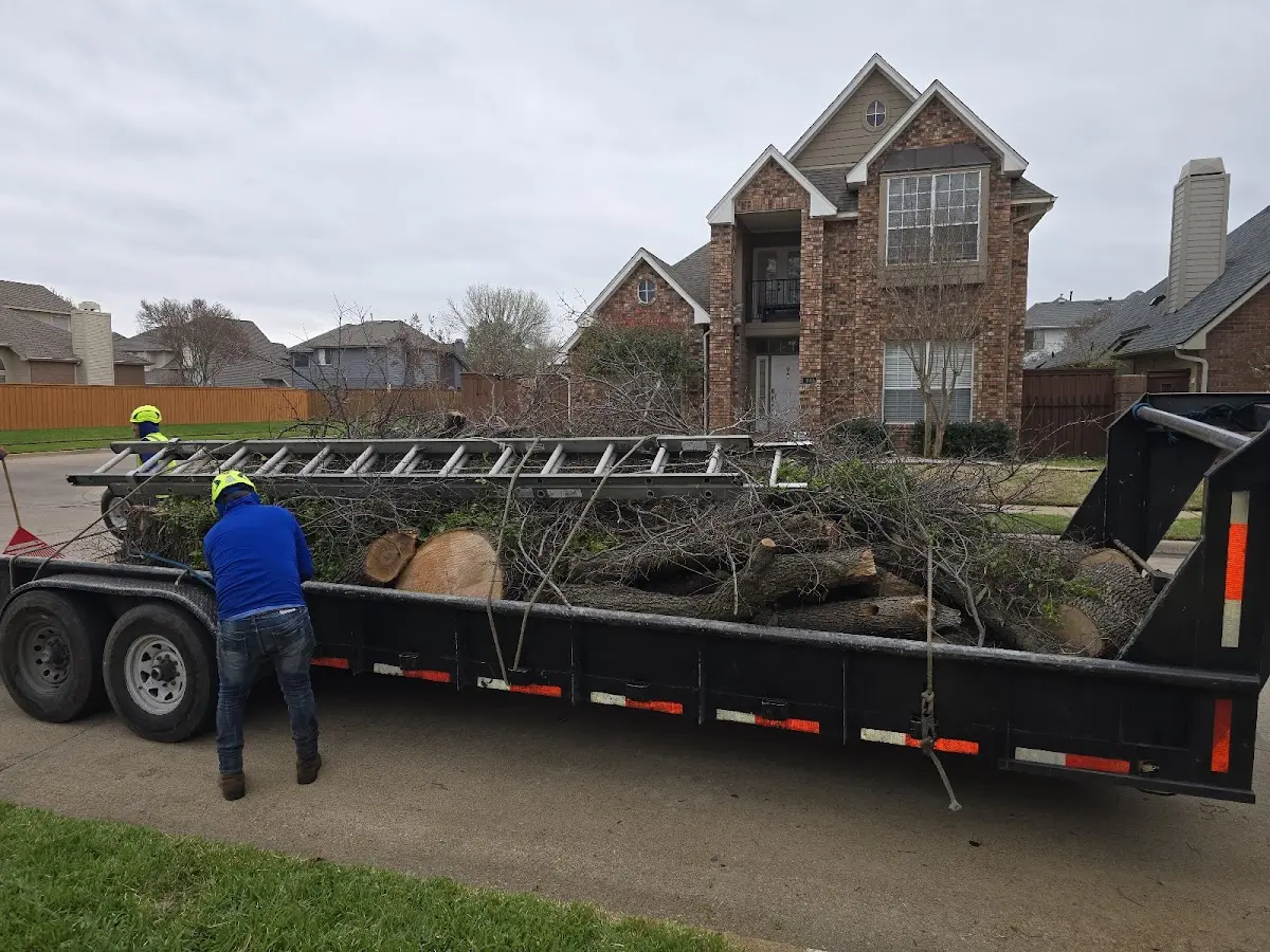 Expert Tree Pest Control with proper safety equipment in Goodland